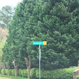 Meet your Posher, Carrie